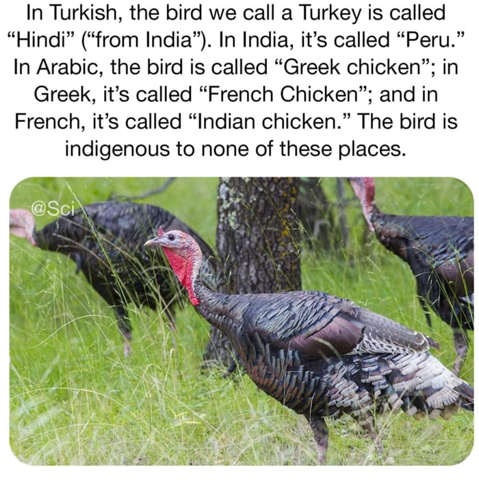 How Do U Call Him In Ur Country 9GAG how-do-u-call-him-in-ur-country-9gag