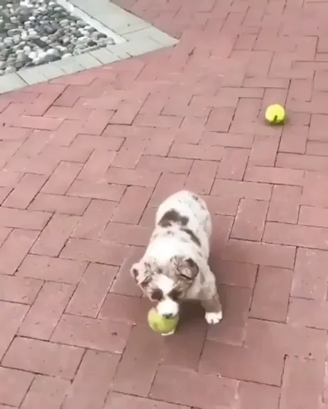 Ok So Basically I M Very Smol 9gag