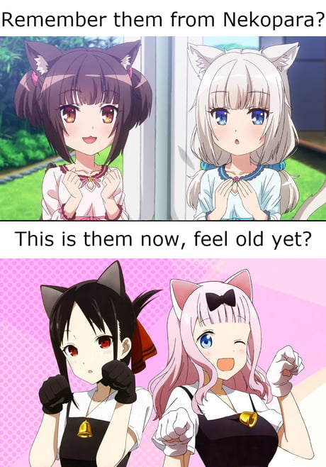 Daily catgirl apreciation post #15 - 9GAG