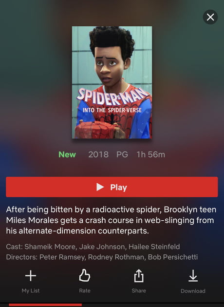 Spider man into discount the spider verse netflix