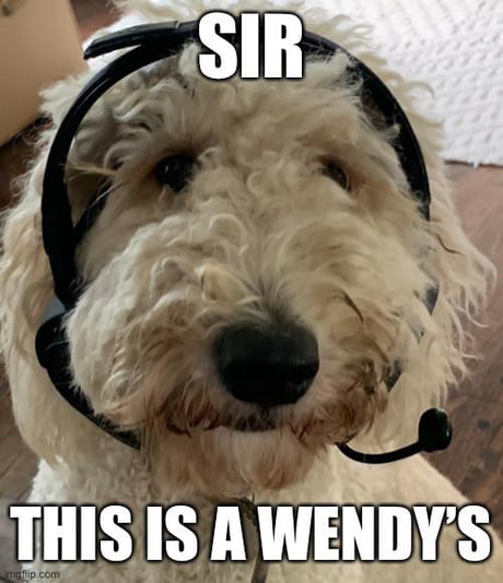 Sir This Is A Wendy S 9gag