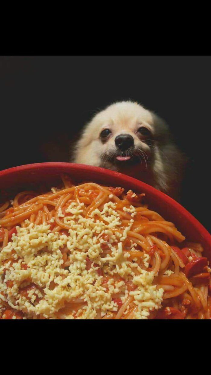 He desire spagoote