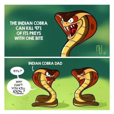 Just Indian things... - 9GAG Just Indian things... - 9GAG