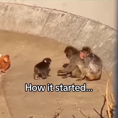 Punch is here to make your day better