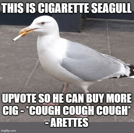 cigarette smoking meme annoyed guy cigarettes Sticker Fed Up Mekhi Phifer Meme,