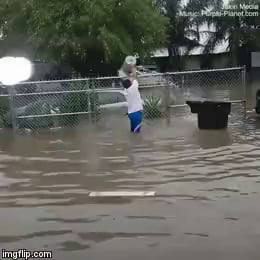 He's gone, poor thing!