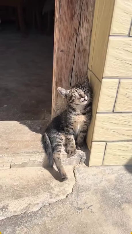 This video makes me sleepy.