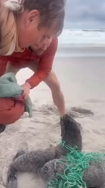 My cardboard straw is the solution to corporate plastic pollution, right ?