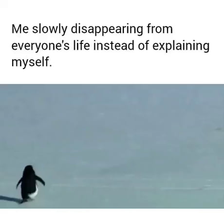 Me ghosting everyone these days.