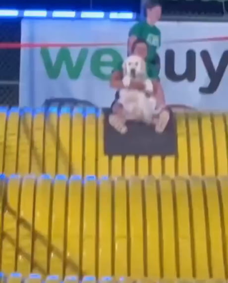 That was fun