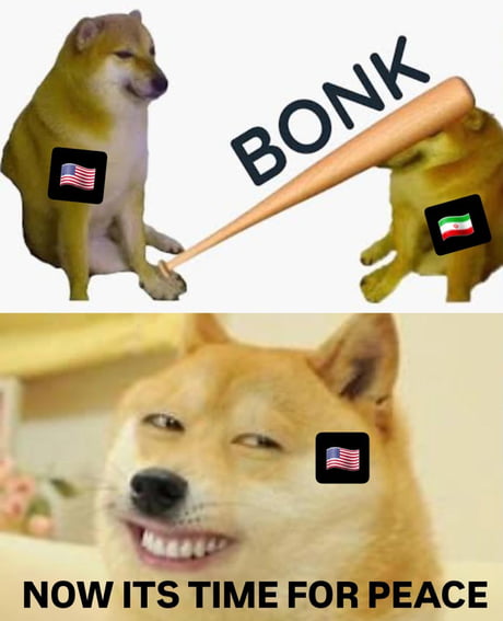 Lustige Doge Memes I Can Has Cheezburger? Doge Funny Animals