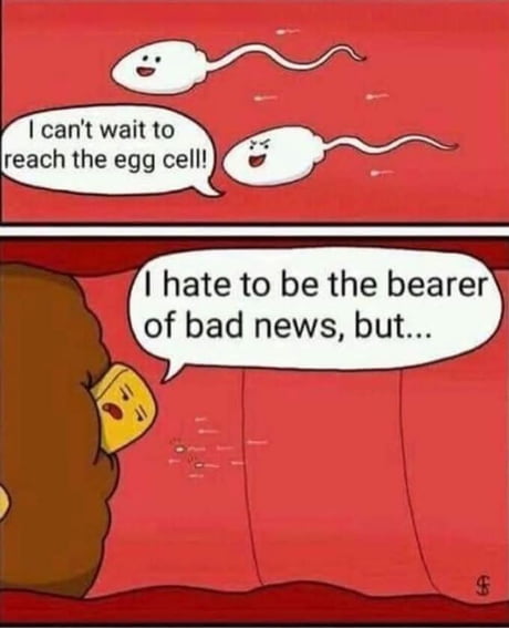 lazy-sperm-memes