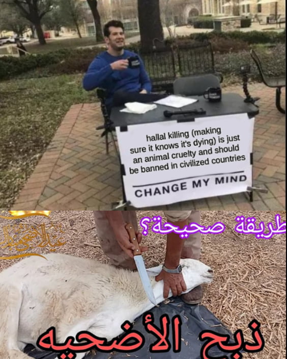 Is it multicultural enough