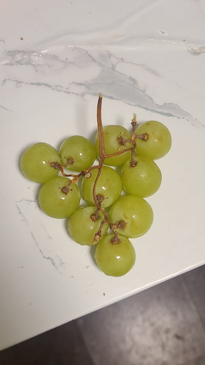 Small Triangle Grape These grapes make a perfect triangle - 9GAG