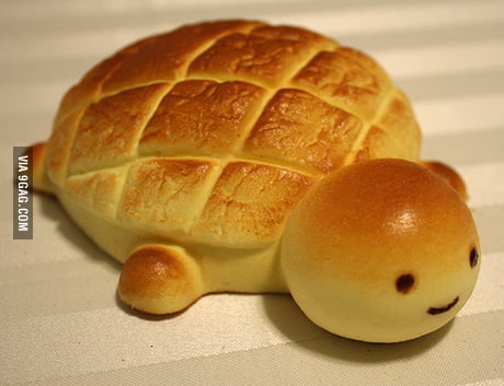 Turtle Bread 9gag