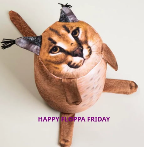 FLOPPA FRIDAY  Memes, Cat memes, Funny animal jokes