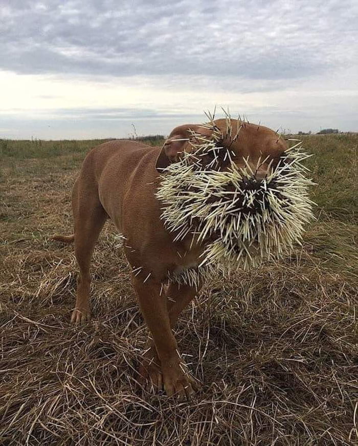 Mistakes were made