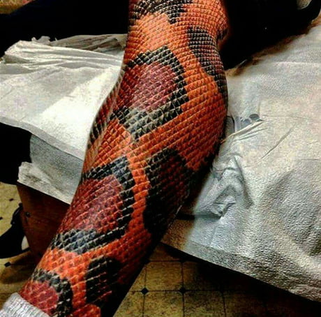 Put Your Skin in the Game with These Awesome Snake Tattoos - KickAss Things  | Tatuaje de cobra, Tatuaje de alce, Nuevos diseños de tatuaje