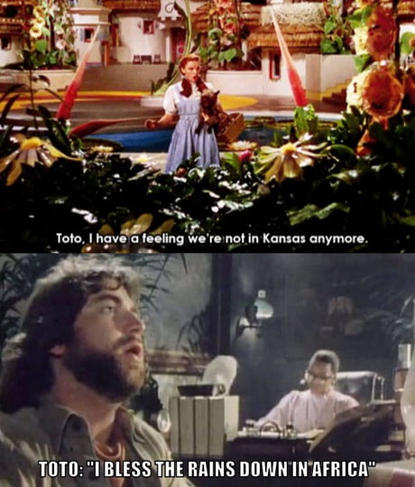 Best 30 Toto Fun On 9gag