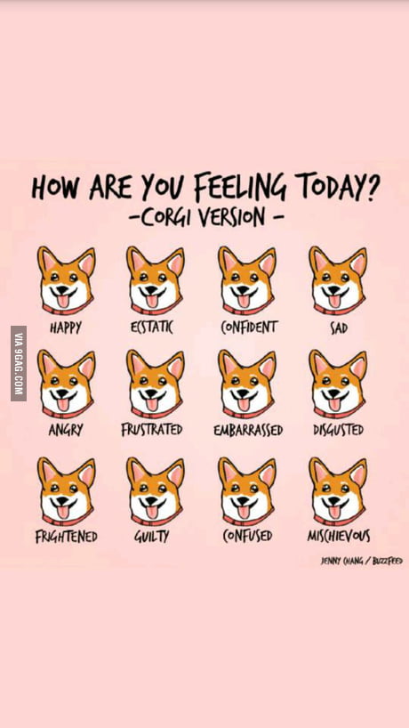 How Are You Today? 