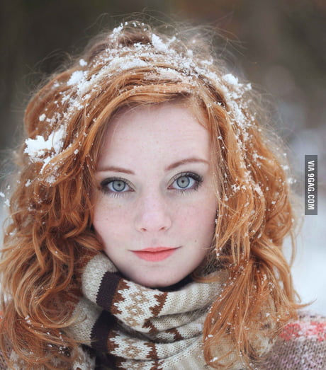 Snow redhead