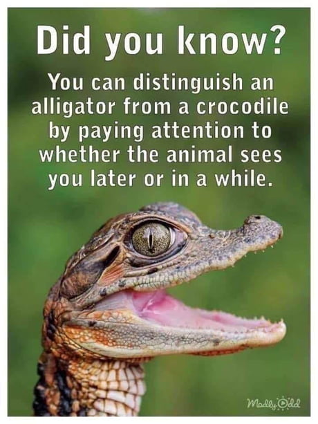 It S Not Mine Exactly My Dad Sent This To Me As You May Have Guessed 9gag
