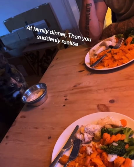 Ahh… family dinners