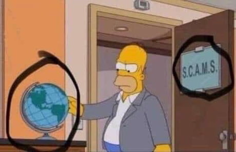 The simpsons store flat earth