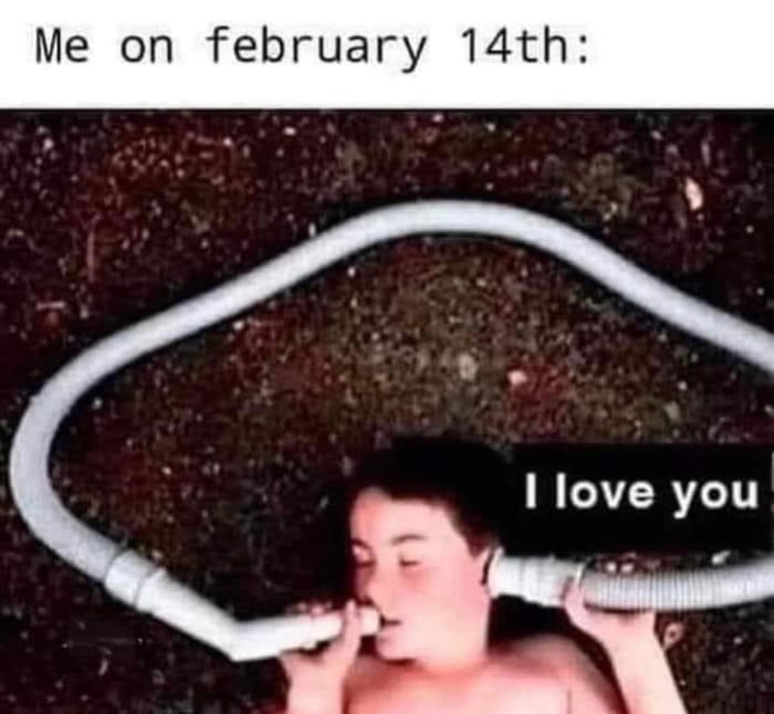 valentines day forever alone meme