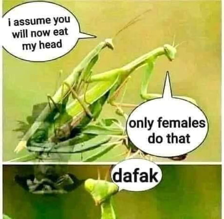 Made by Natural_Habitok - 9GAG