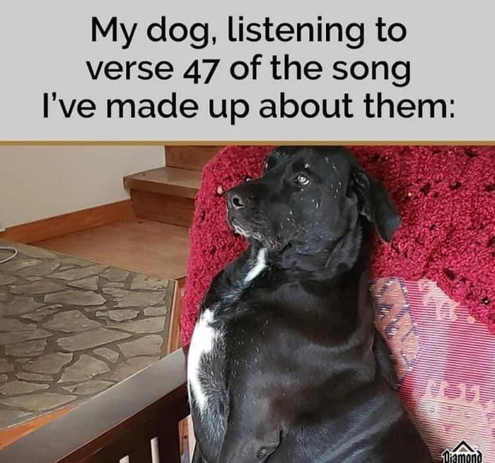 So true! I sing all the time the Songs of Dogs! 9GAG