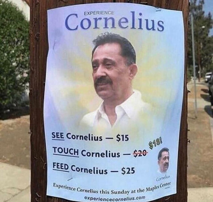Experience cornelius