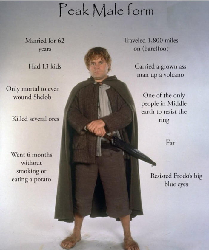 Samwise Gamgee, the real MVP