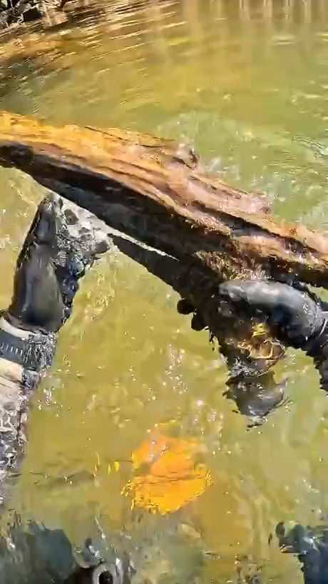 It's those little things that makes men happy