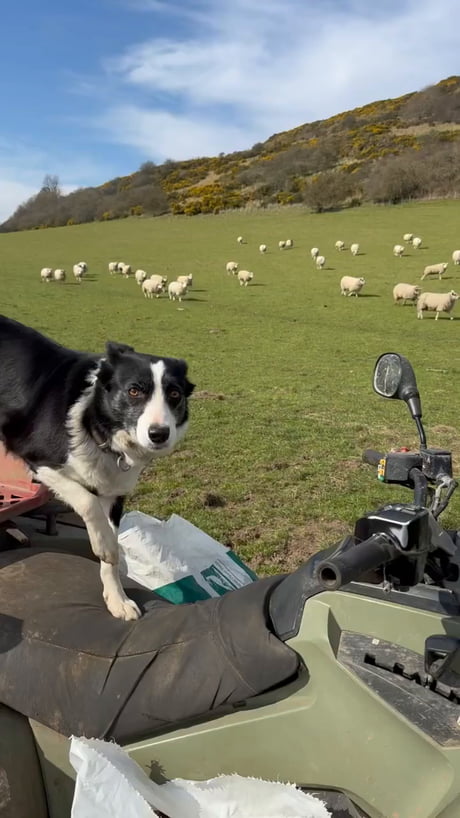 Hey buddy, leave it to me.