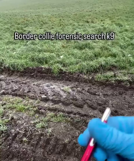 Just give em your wife/husbands panties