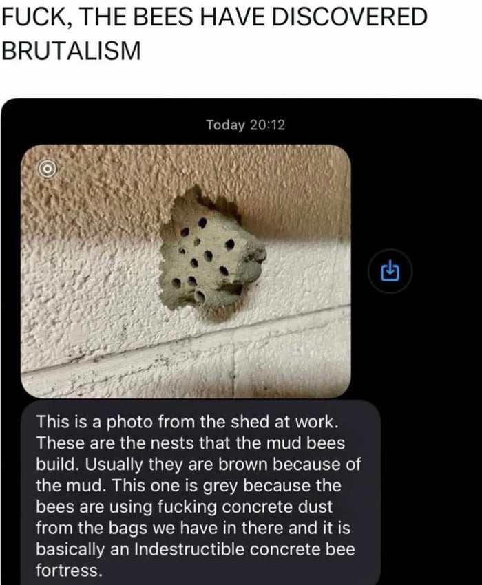 It's official : bees are smarter than more than half of all mankind