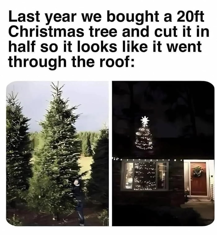 Christmas tree is not too big