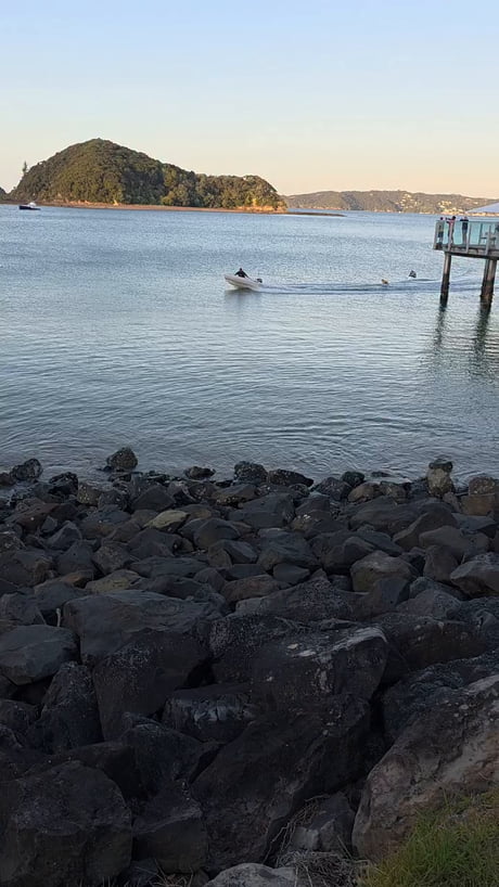 Dog telling his mates later