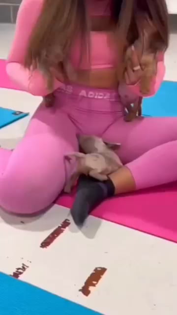 Dog bite