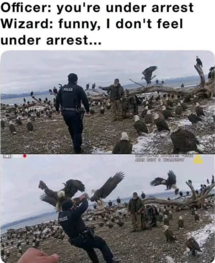 The power of beak and claw