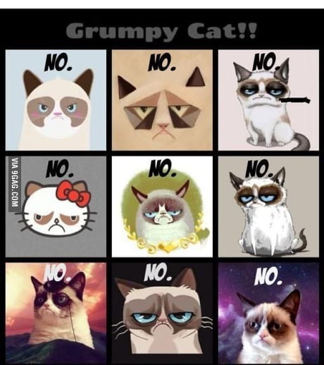 grumpy cat nope meme
