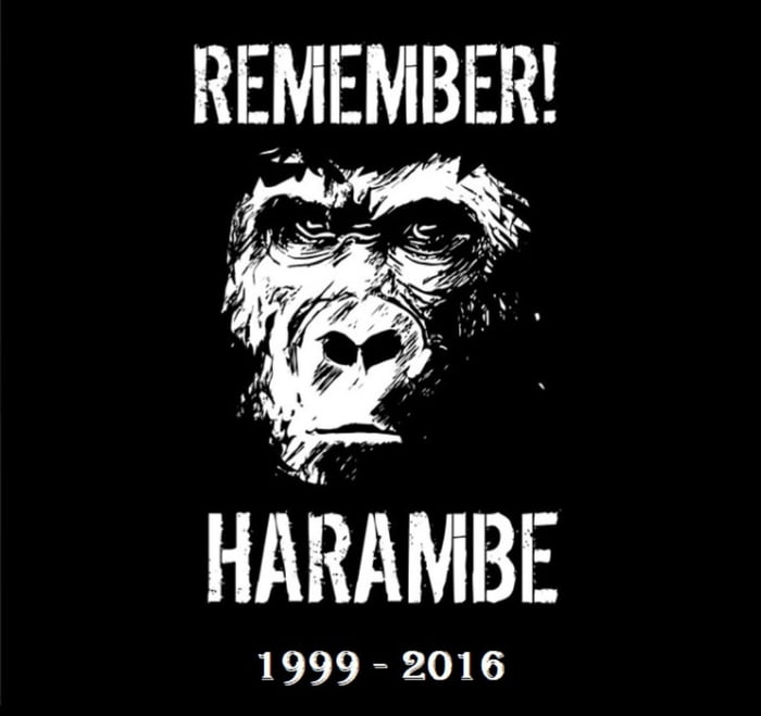 Aways remember Harambe 9GAG