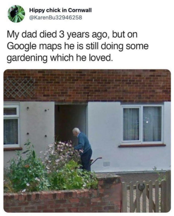 Grandpa The Eternal Gardener 9gag