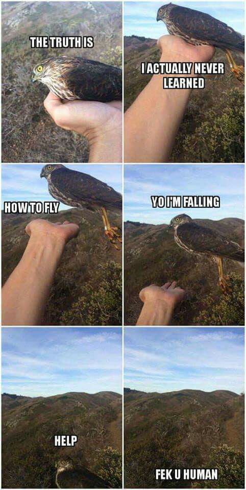 Learn The Hard Way 9GAG Learn the hard way 9gag