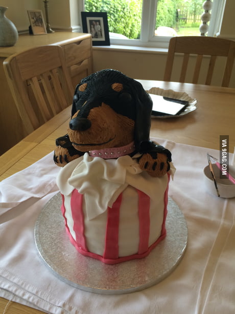 I made a dachshund birthday cake - 9GAG