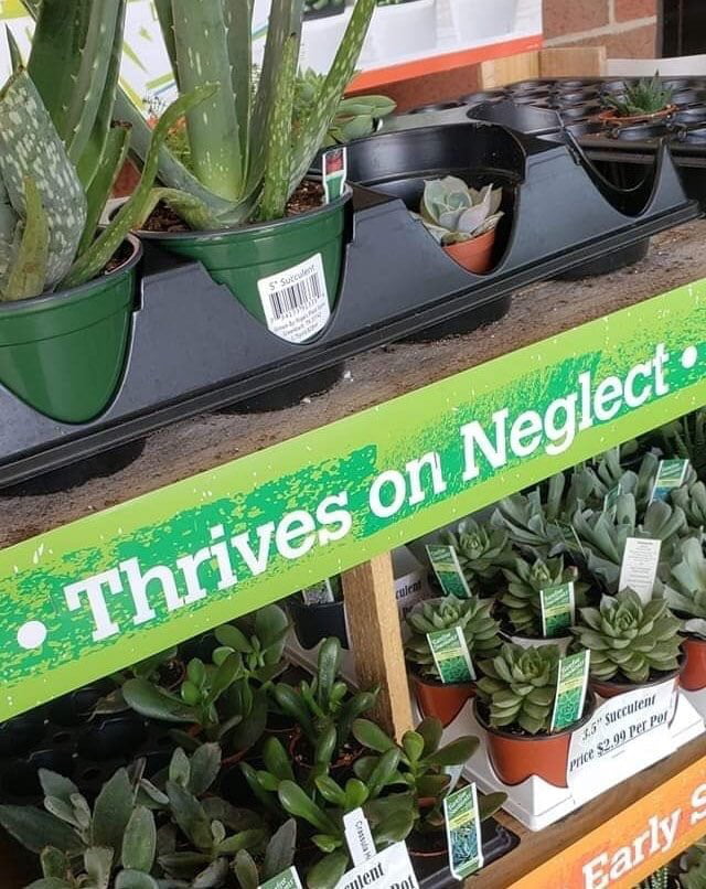 Don&rsquo;t we all...