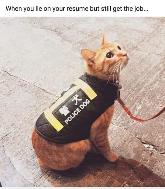 Me-ow Me-ow