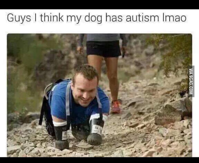 i-think-my-dog-has-autism-9gag