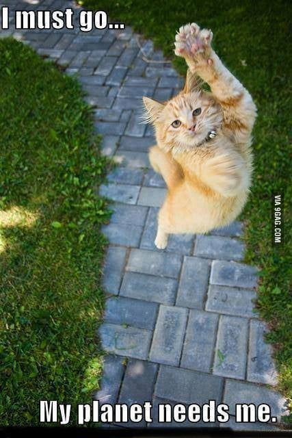 My Planet Needs Me 9gag